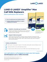 ���������� ������ ��� ����� Amplifier� Max � ����� �������