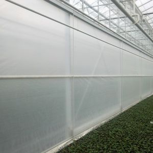 Ammerlaan Constructions BV : ����������� -