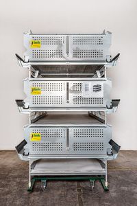Specht � Ten Elsen GmbH & Co KG : �������������������� ��������� -