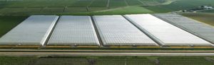 NOVAGRIC (Novedades Agrcolas, S.A.) : ����������� -