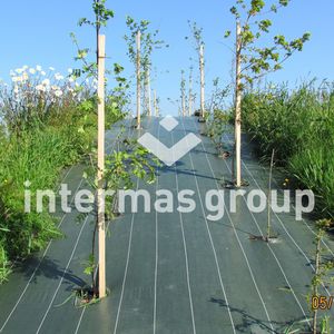 ����� ��� ��������� �������� PLANTANET Series �� ����������� ��� ����������� ��� ����