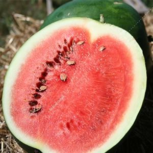 ������ ������ ����� LHR101 ������ ������������ ������ �������