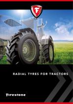 ���� ��� �������� MAXI TRACTION 65 38" 30" 34"