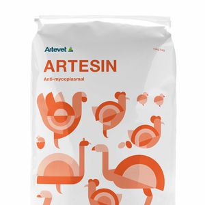 �������� ������� ��� �������� Artevida ��� �������� ����� �������� �����