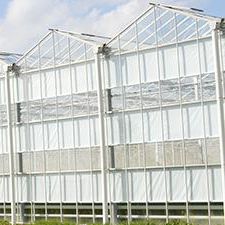 Nobutec Tuinbouwprojekten B.V. : ����������� -
