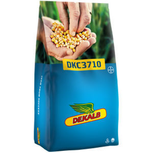 ������ ������ �������� DKC3400 ����� ��������� ��������