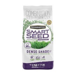 ������� ������ ������ HUMMINGBIRD ����������� ����� ������ ��� ����