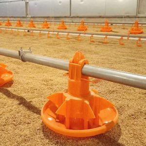 ����� ��� ����� �� �������������