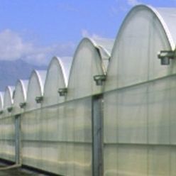 Solplast S.A. : �������������������� ��������� -