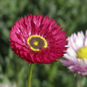 ���������� ������ ������ POWER ������ ��� ������� ��� ����