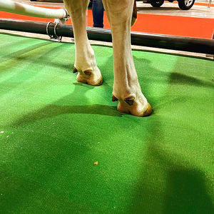 AGRICOW : �������������������� ��������� -