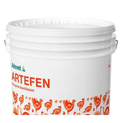 �������� ������� ��� �������� Artefen ��� �������� ����� ����� ��� ������ ����