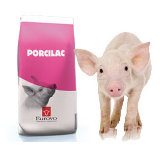 ���������� ������ ��� ������� Porcilac � ����� �������