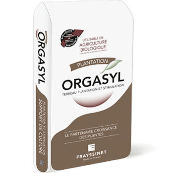 �������� �������� ����� ��� ��������� ������� ORGASYL � ����� ����������� ��� �������������� ��������� ���������