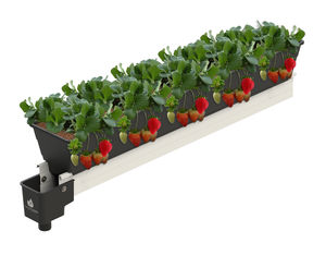J. Huete Greenhouses : ����������� -
