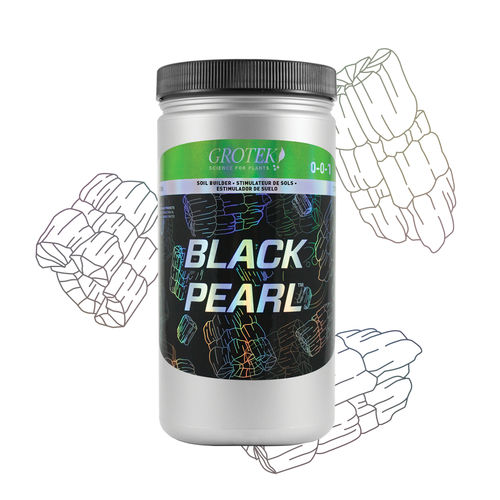 ������������ ��������� BLACK PEARL� �������� � ����� ������� ��� ������