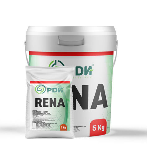 �������� ������� ��� �������� RENA ��� �������� ����� ������ ������