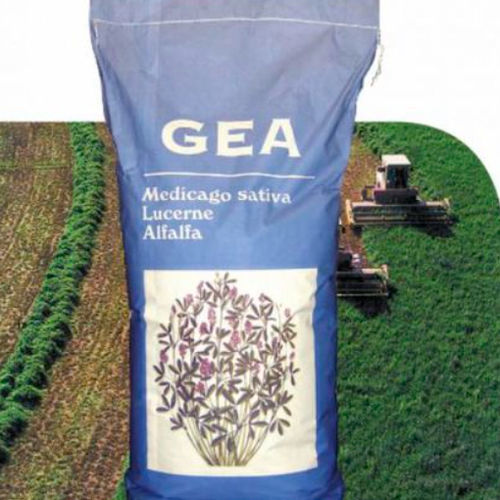 ������������ ������ ������� GEA