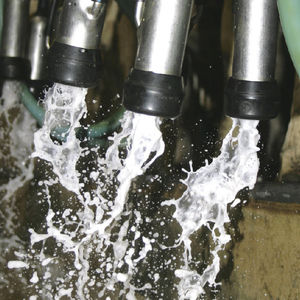 Onfarm Solutions Ltd : �������������� -