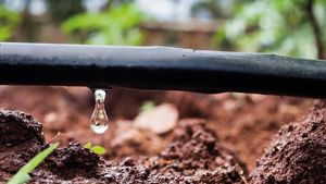 ARDENT PLASTIK SAN.VE TIC.LTD.STI : �������������������� ��������� -