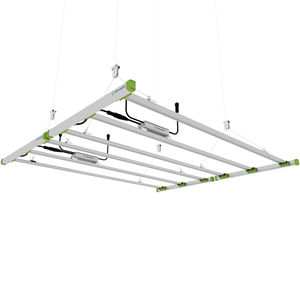 HarveLite Lighting : �������������������� ��������� -