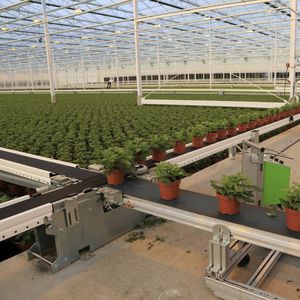 WPS : �������������������� ��������� -