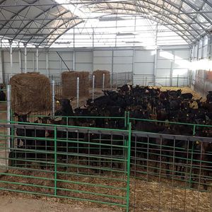 ASTHOR Stockage-Elevage : �������������������� ��������� -