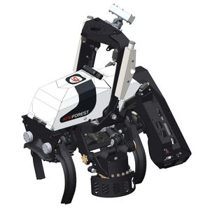 AFM-Forest Ltd : ������������������� ������� -