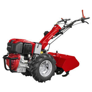 �������� �������� RED