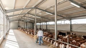 HALTEC Hallensysteme GmbH : �������������������� ��������� -