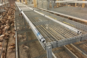 POTTERS POULTRY LTD : �������������� -