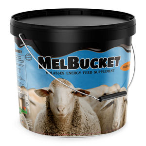 �������� ������� ��� �������� MELBUCKET ��� �������� �������� ����� ��� ���� ��� �������