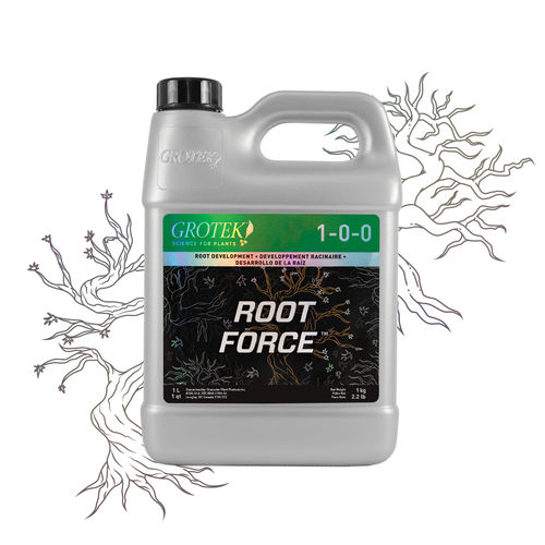 ����������� ��������� ROOT FORCE� ������������ ������� ��������