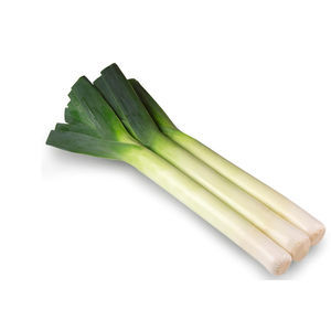 Tozer Seeds Ltd : ������ � ������ ������� -