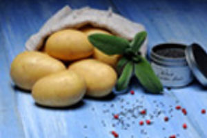 EUROPLANT Pflanzenzucht GmbH : ������ � ������ ������� -