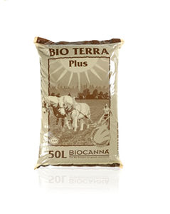 Canna : ������ � ������ ������� -