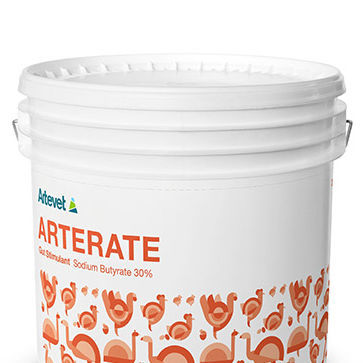 ������� �������� ������������ Arterate ��������� ����� ��� �������� ����� �����