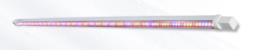 ��������� ��� ������������� ����������� skylark LED �������