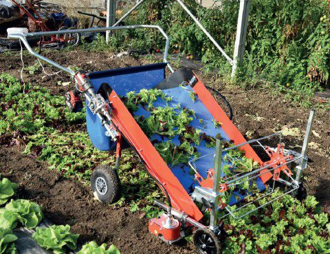 ��������� ������ ��� ������ VegTerra TR80 ��� �����-������������� ���� ���������� ���� 1����
