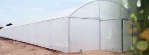 NOVAGRIC (Novedades Agrcolas, S.A.) : ����������� -