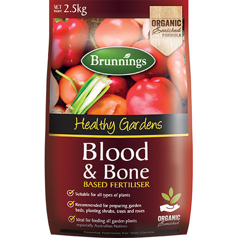 ������������ ��������������� BLOOD & BONE ������������ ����� ��� ������ ��� ��������