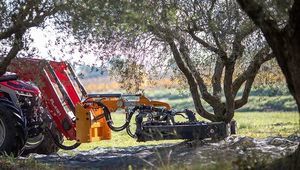 ������� �� ������������ M32C ������ ��� ������ ��� �������������