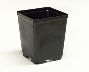������ �� �������� 2 Quart ���������� ������