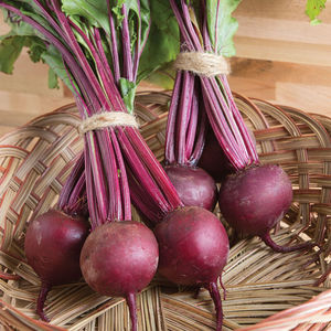 �������� ������ ���� 4815 ���������