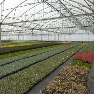 Resif Greenhouse Technologies : ����������� -