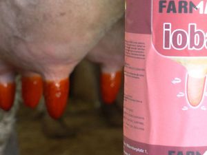 Farmann : �������������� -