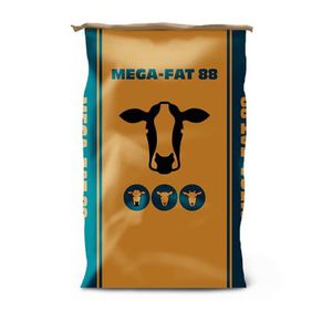 Megalac : �������������� -
