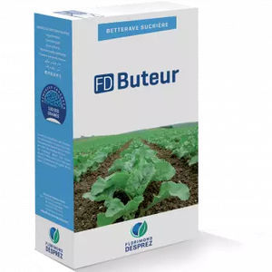 �������� ������ ������ Brunium
