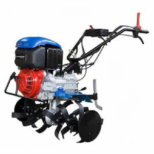 Sep : ����� �������������������� ������������ -