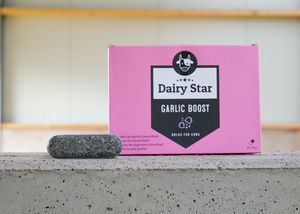 ����� ������� DairyStar Start Up Boost ��� �������� �������� ����� �������� ������� ������� ���� ��������� ���������������